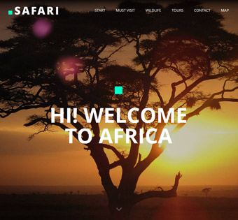 Safari 1 Banner